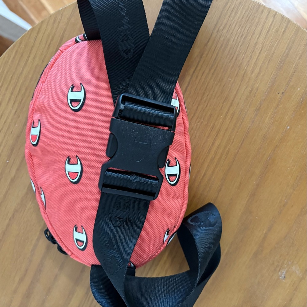 Champion Belt Bag - Picture 5 of 8